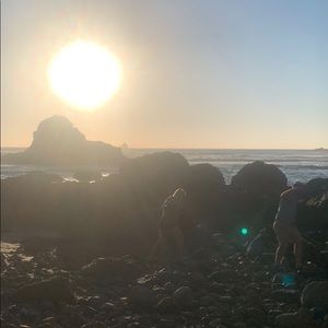 Meet your Posher, Edwin